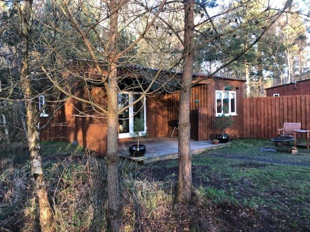 The Cabin At Easter Arr Auldearn المظهر الخارجي الصورة